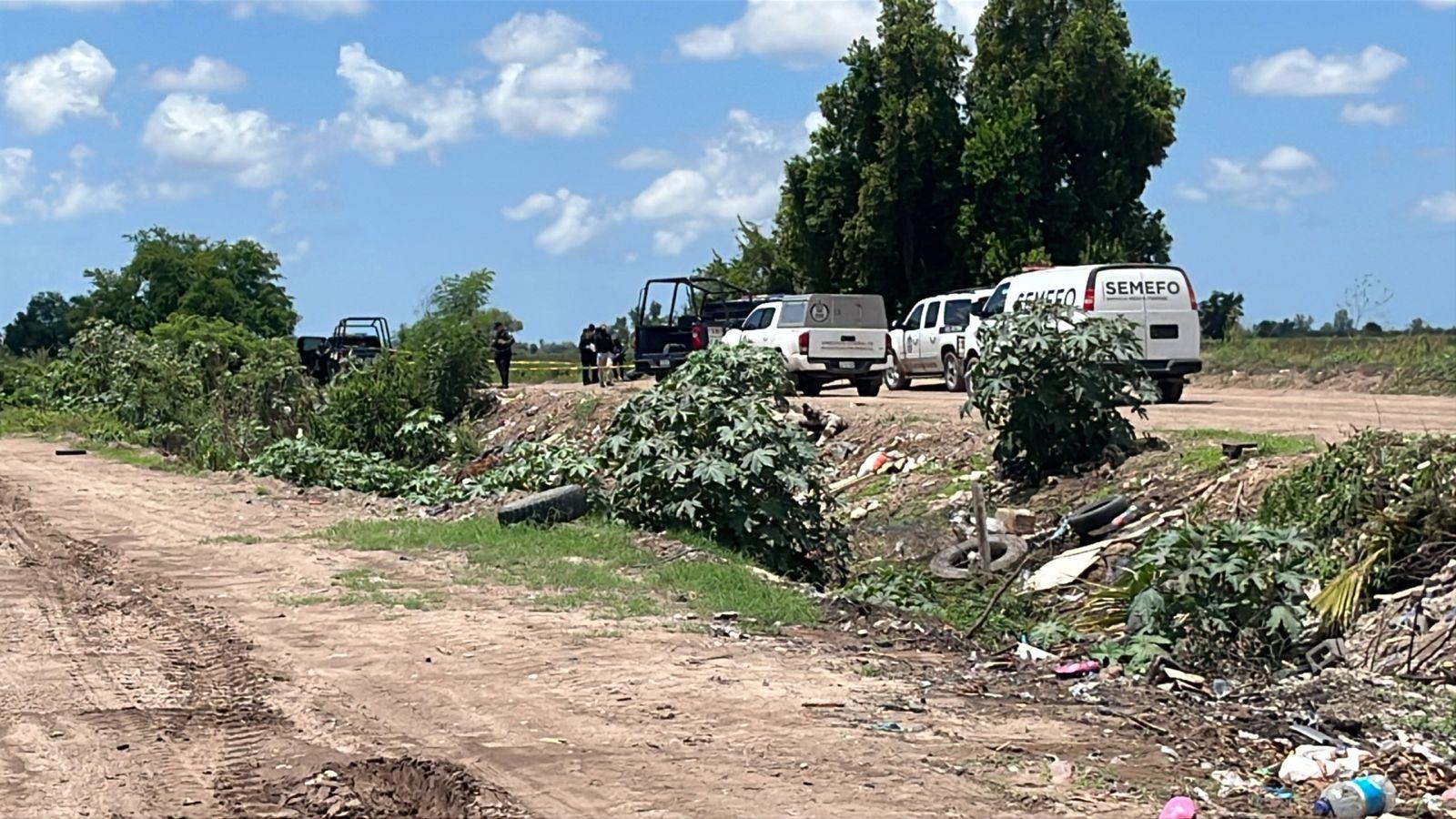 $!Hallan a hombre asesinado con huellas de violencia en predio agrícola de Navolato