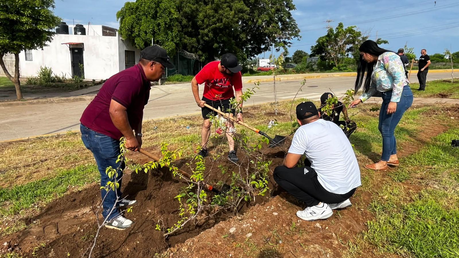 $!Plantan 60 árboles y 60 bugambilias en Jornada Nacional de Reforestación en Mazatlán
