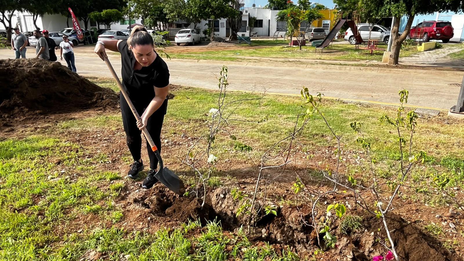 $!Plantan 60 árboles y 60 bugambilias en Jornada Nacional de Reforestación en Mazatlán