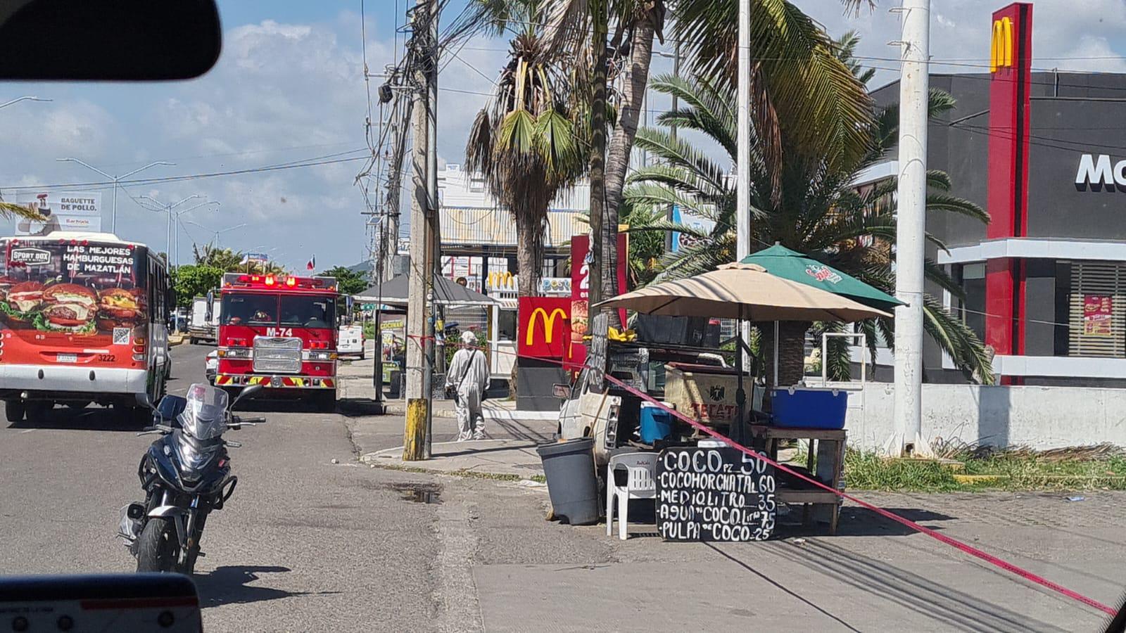 $!Ataque de abejas obliga a evacuar restaurante en Mazatlán; reportan cinco lesionados