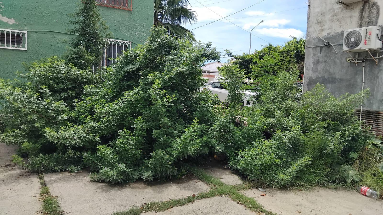 $!Entre basura y desechos, continúa la contaminación en el fraccionamiento El Toro, en Mazatlán