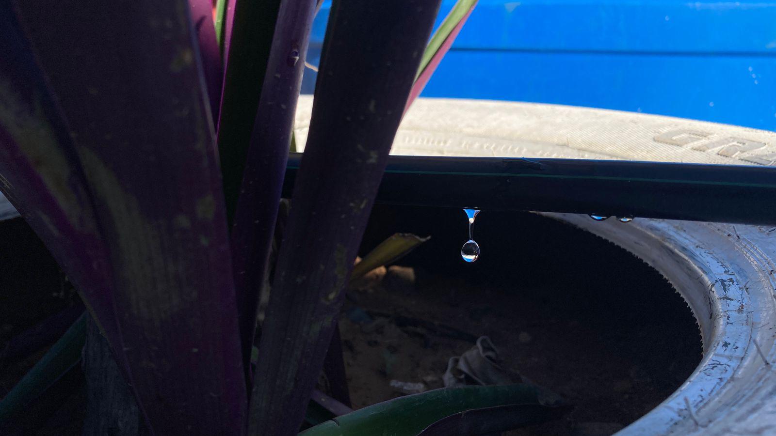 $!Inauguran en secundaria de Mazatlán sistema de acopio de lluvia