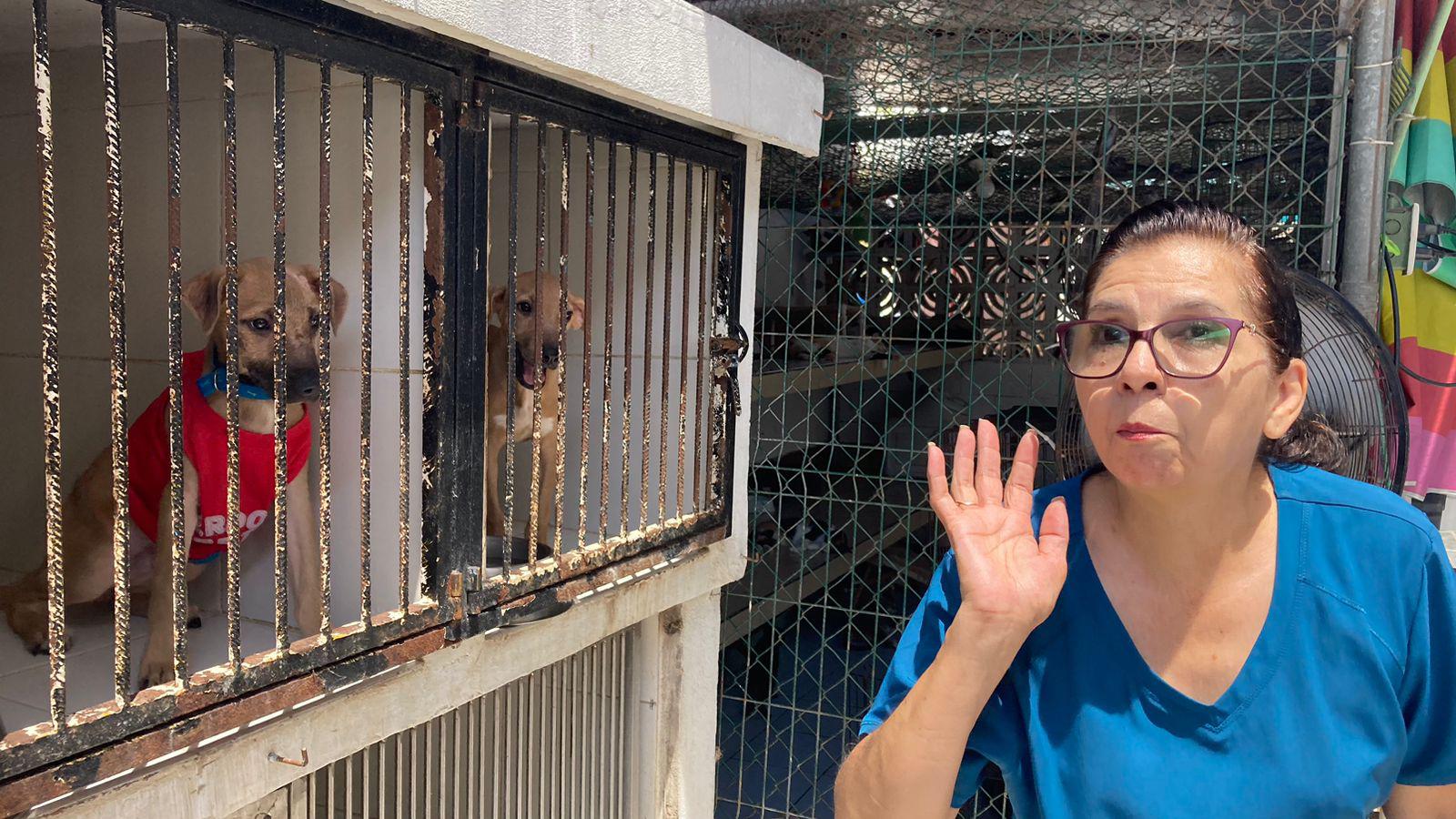 $!Desde Sugar a Bloody y las hermanas inseparables: Historias de supervivencia para empatizar con los desprotegidos