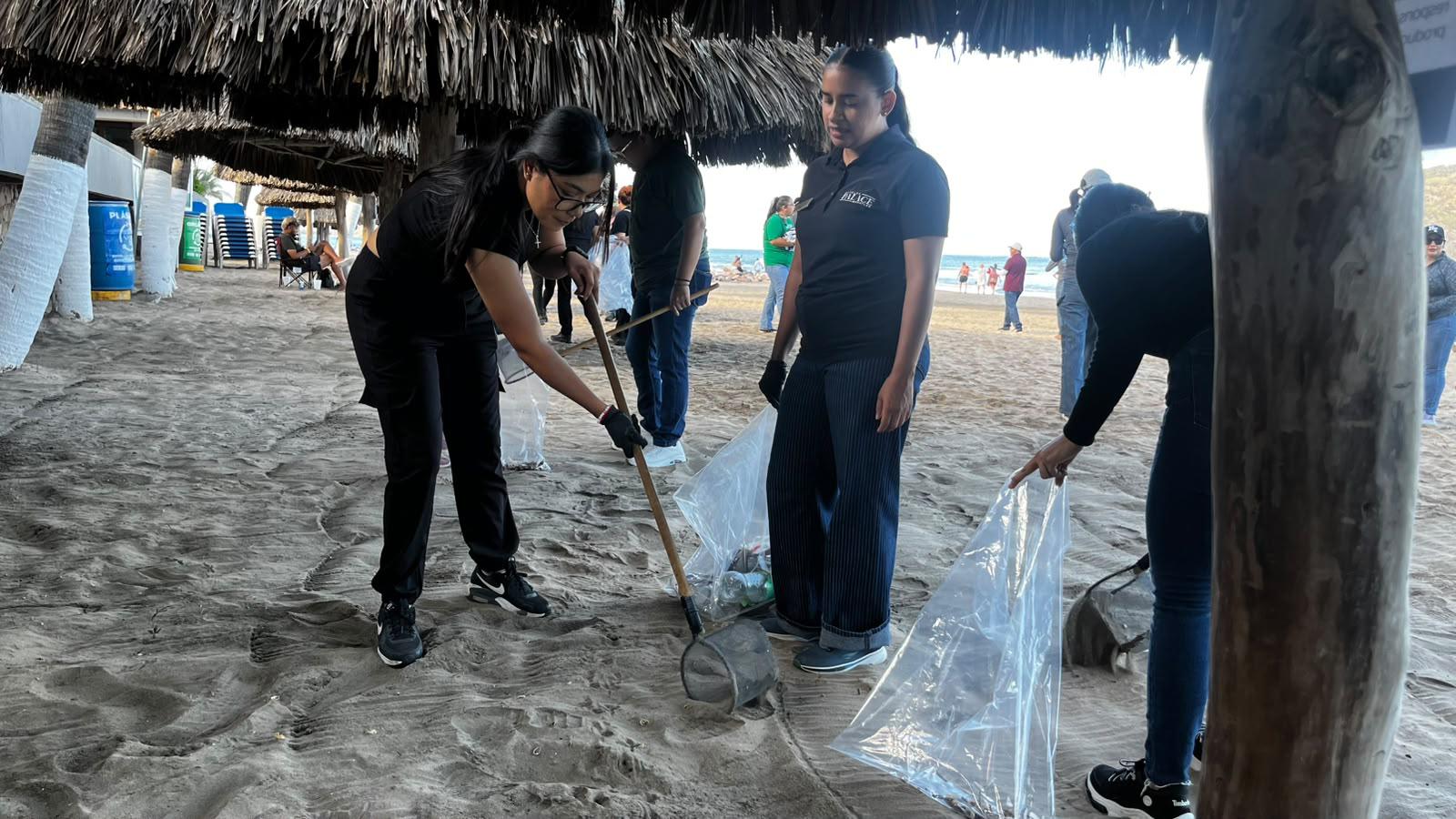 $!Refuerza Operadora de Playas acciones de limpieza en costas junto a hoteles certificados