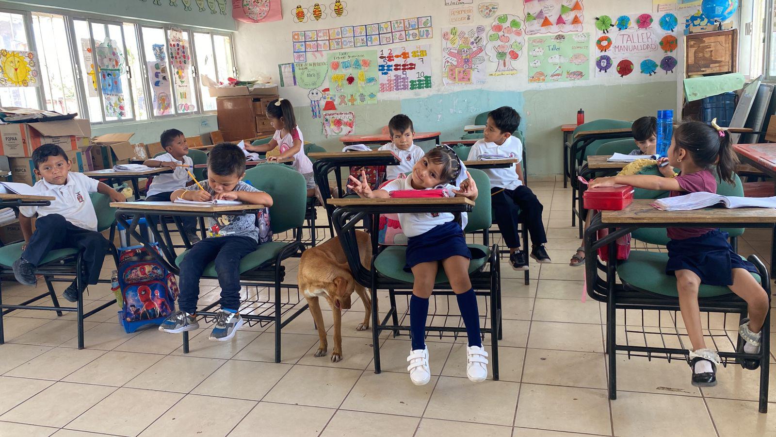 $!Desplazados de Las Víboras hallan refugio en Costa Rica; aseguran que ya no quieren volver