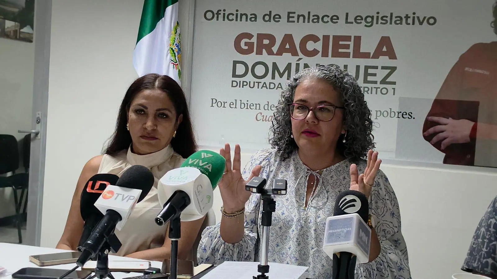 $!‘La derecha le apuesta a que nuestro estado viva una crisis’: acusa diputada Graciela Domínguez