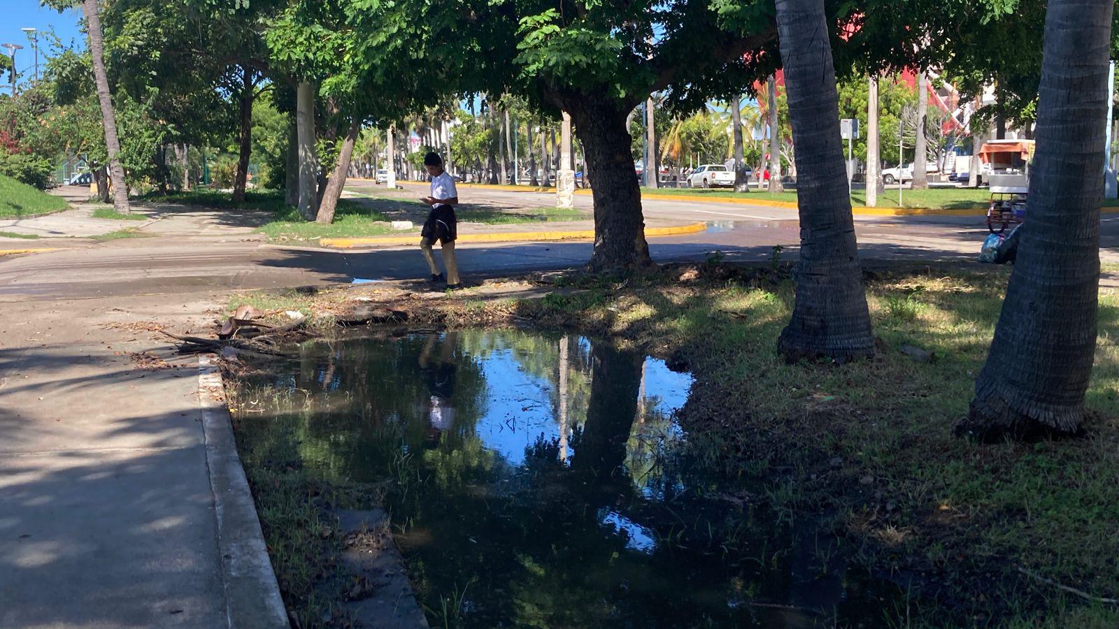 $!Persisten fugas de aguas negras en Mazatlán; vecinos se sienten desprotegidos