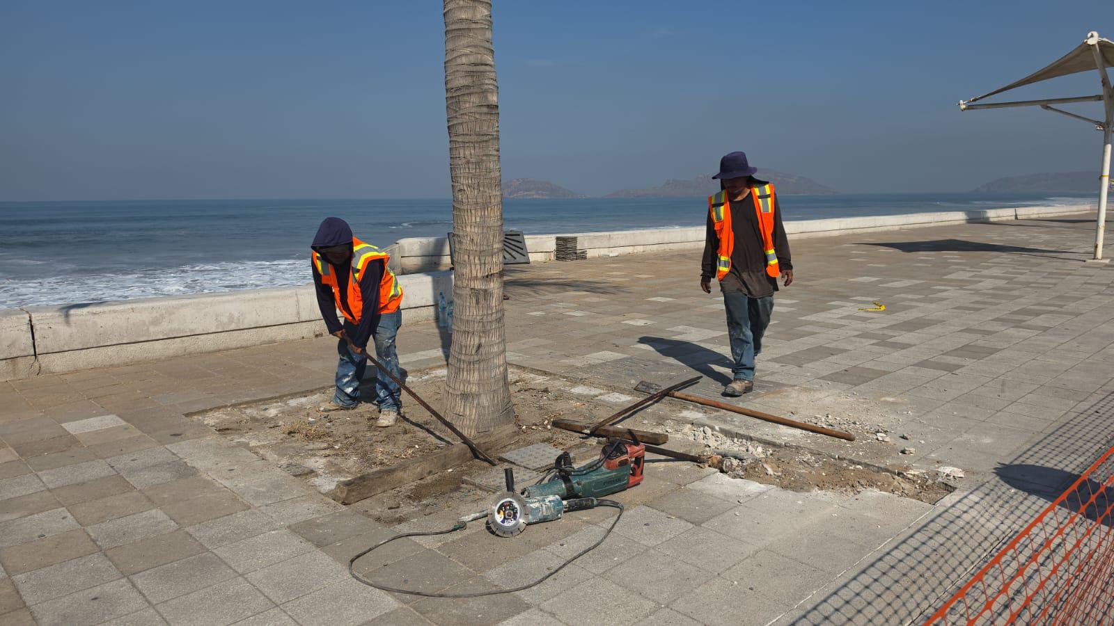 $!Comienzan trabajos en el malecón de Mazatlán para reparar la zona colapsada