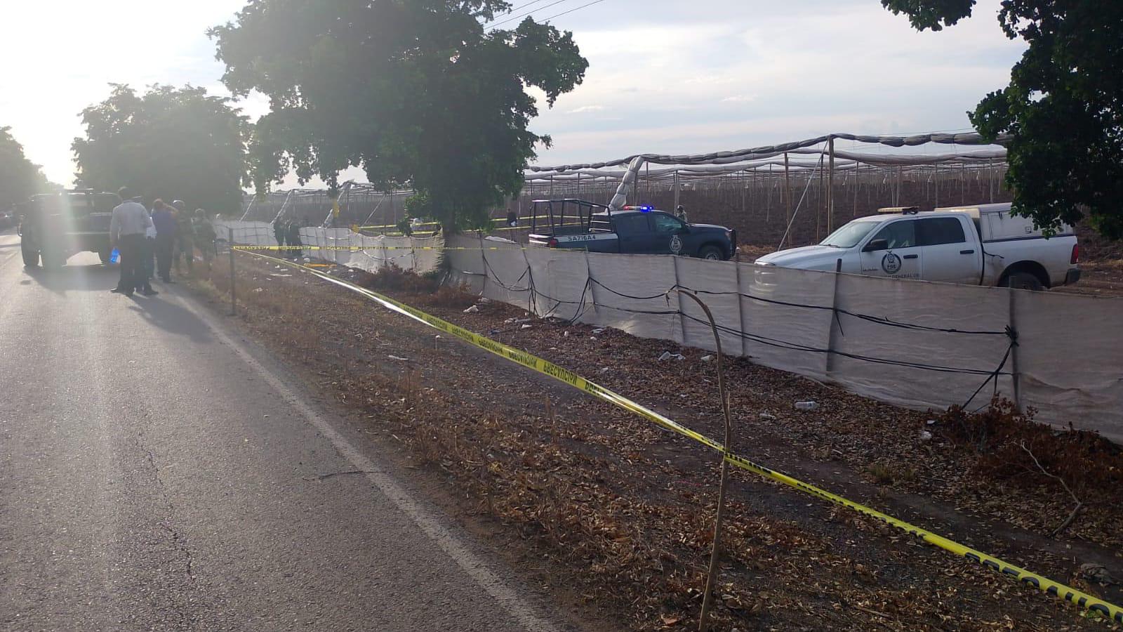 $!Encuentran asesinado a velador de campo agrícola de Costa Rica, al sur de Culiacán