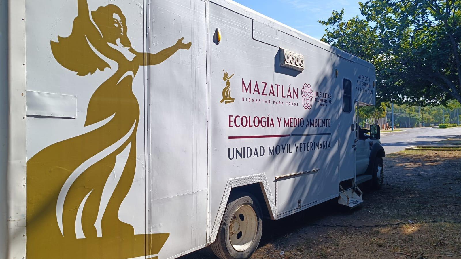 $!Realizan 22 esterilizaciones y dos mascotas hallan un hogar verdadero en Mazatlán