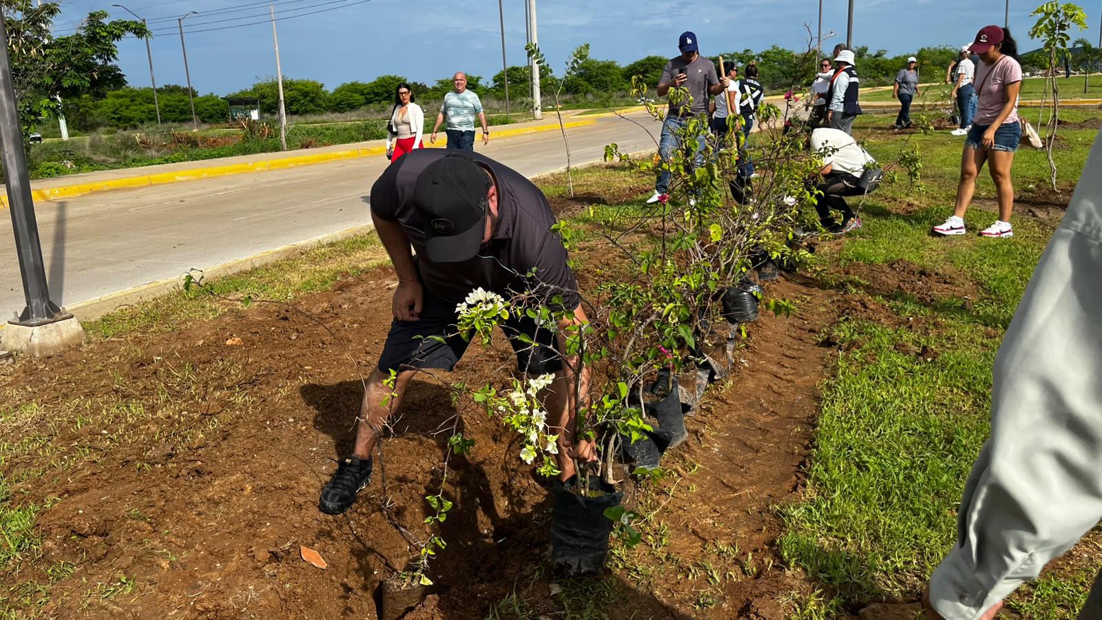 $!Plantan 60 árboles y 60 bugambilias en Jornada Nacional de Reforestación en Mazatlán
