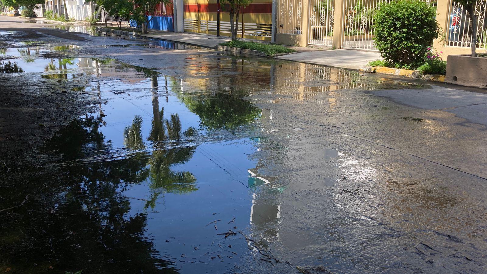 $!En Sábalo Country, vecinos sufren por fuga de drenaje y basura sin recolectar en el parque