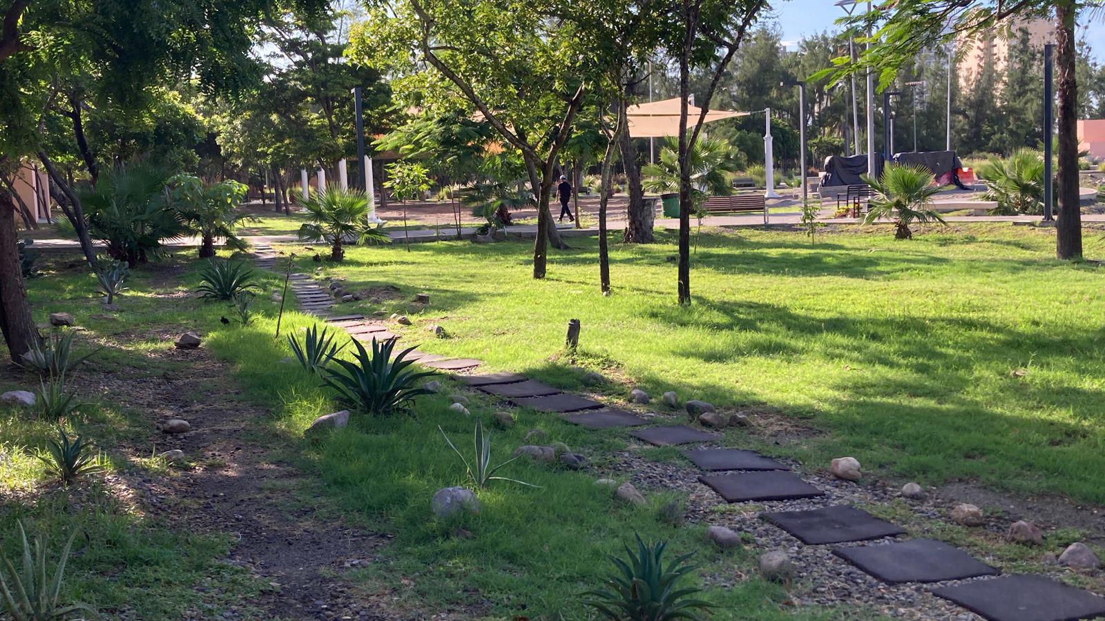 $!Avanzan trabajos para los ‘Senderos de Paz’ en el Parque Central de Mazatlán
