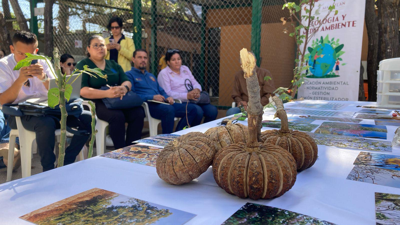 $!Fomentan la conservación de la flora nativa de la región con el programa Guardianes del Medio Ambiente