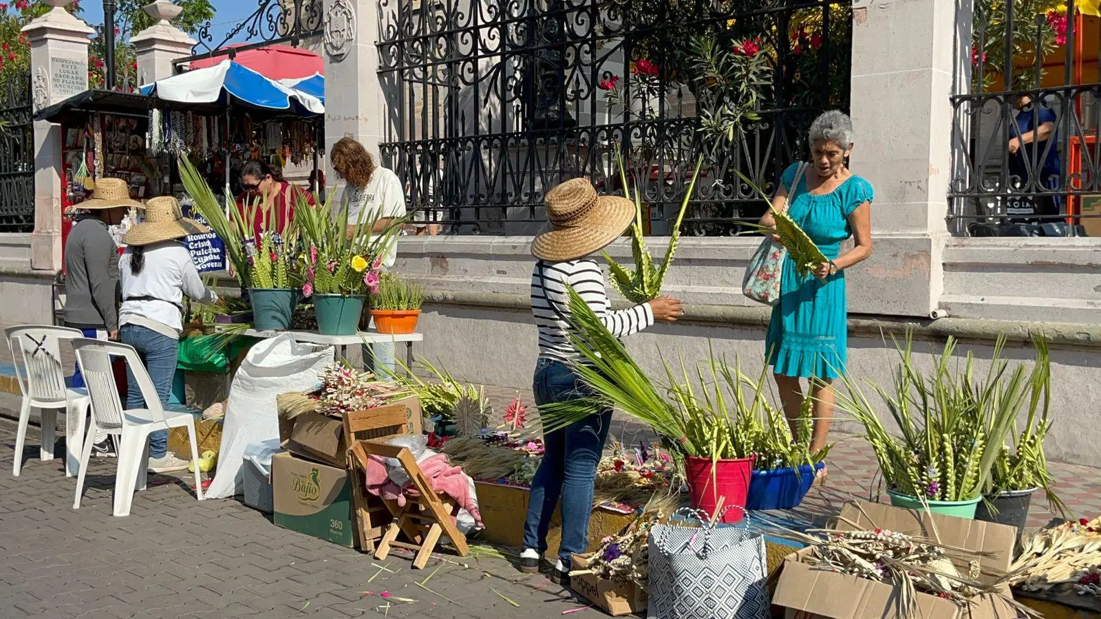 $!Obispo de Mazatlán llama a vivir la paz y la bondad en el Domingo de Ramos