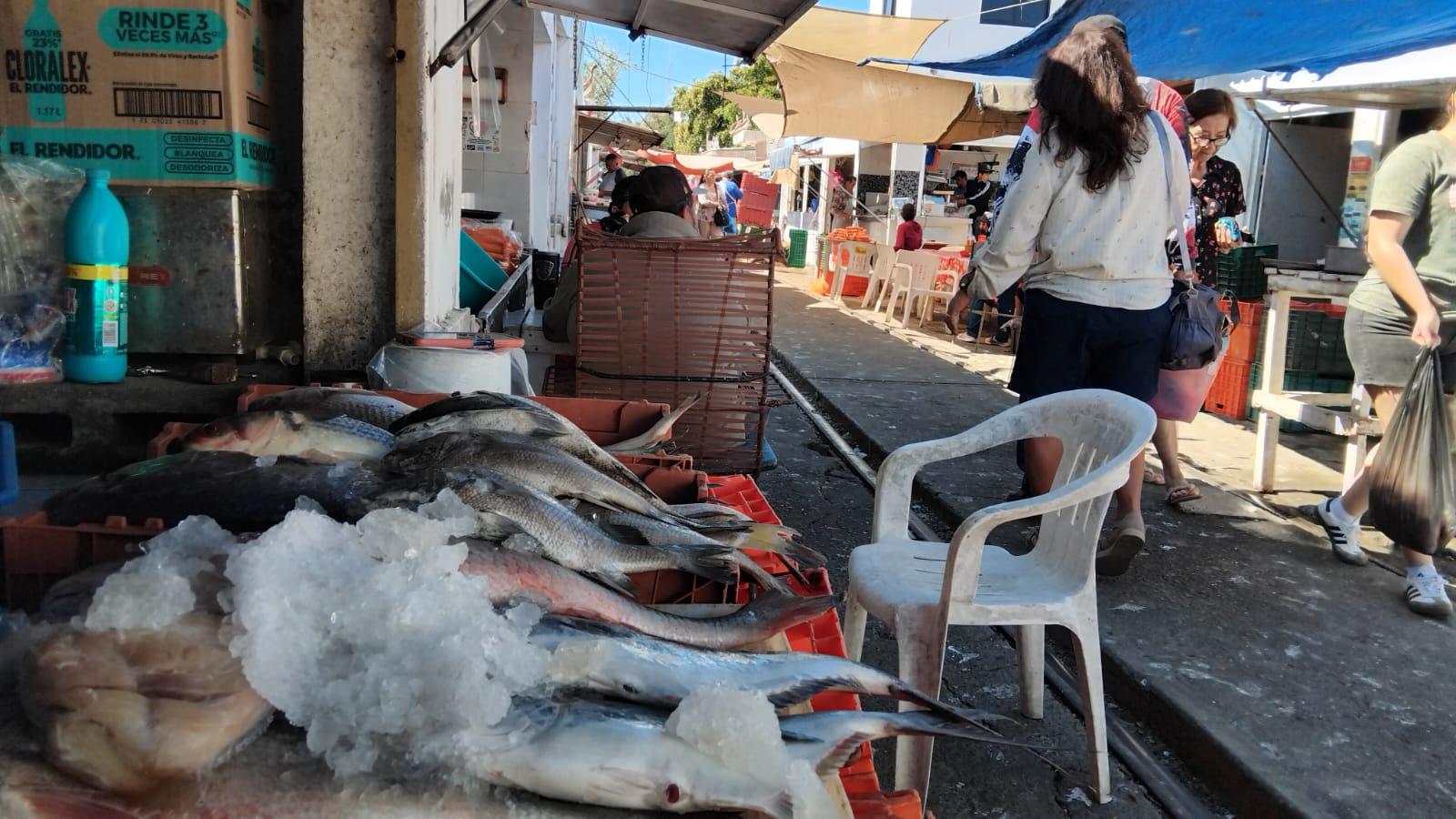 $!Continúan bajas las ventas de pescado en el embarcadero de la Isla de la Piedra
