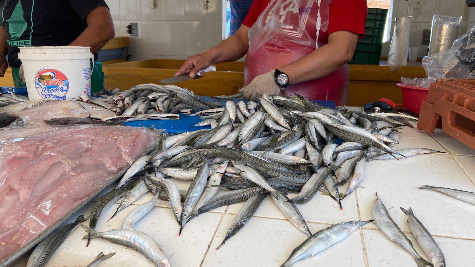 $!Alistan pangas para pescar el ‘pajarito’ en Mazatlán