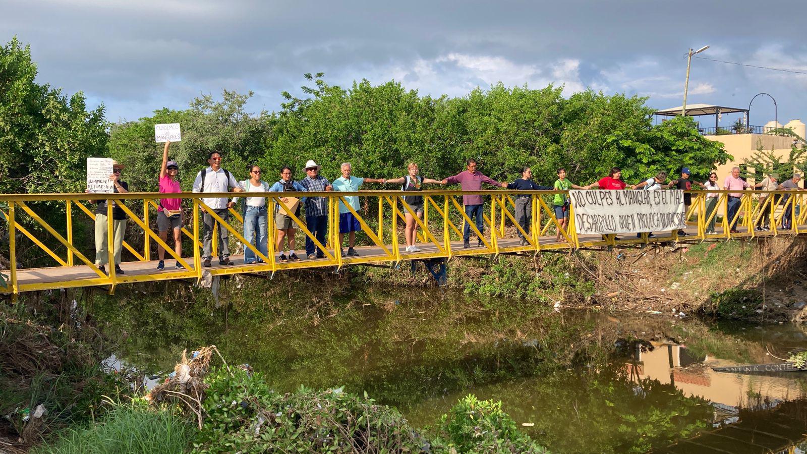$!Protestan contra poda de mangle en Mazatlán; vecinos defienden medidas