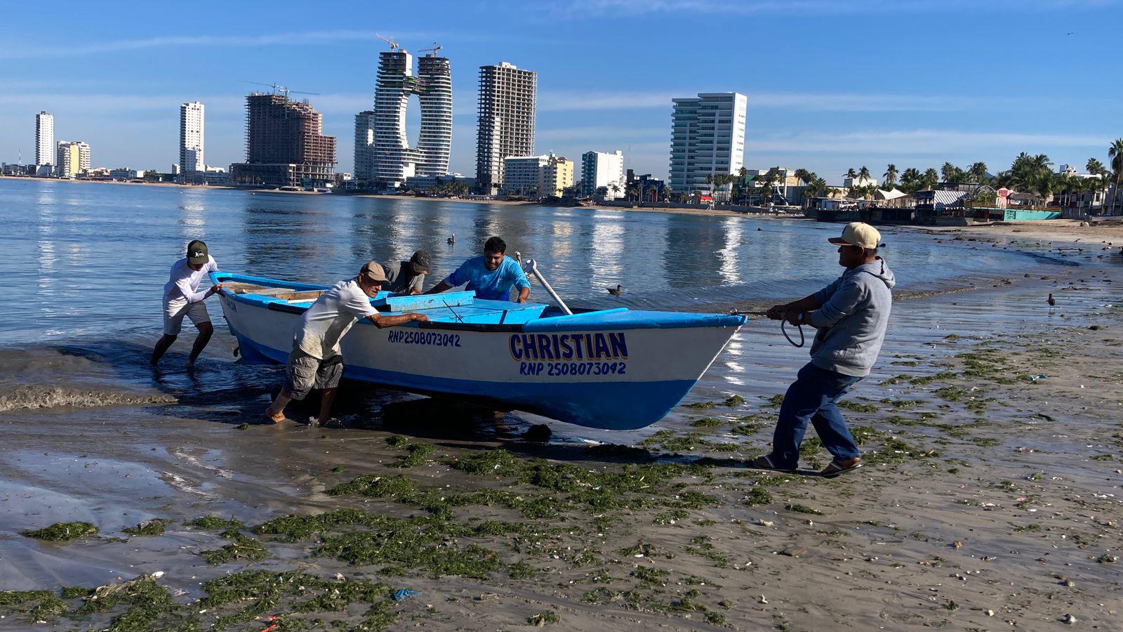 $!Adquieren mazatlecos sierra y bicuda para ceviches en temporada de fiestas decembrinas