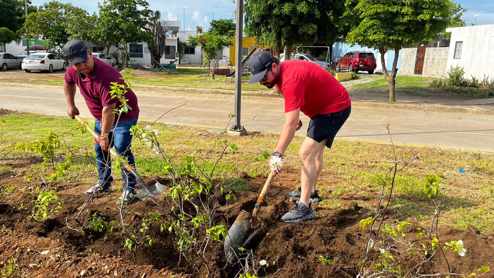 $!Plantan 60 árboles y 60 bugambilias en Jornada Nacional de Reforestación en Mazatlán