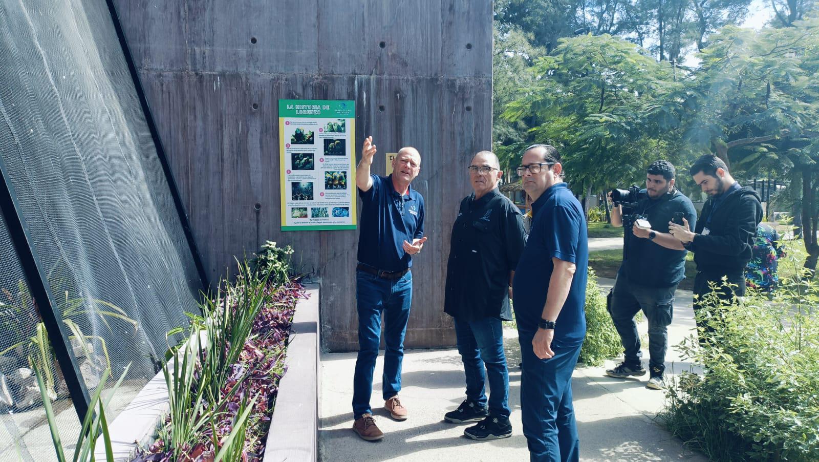 $!Verifica AZCARM los avances del Gran Acuario Mazatlán y conoce el pingüino nacido en el recinto