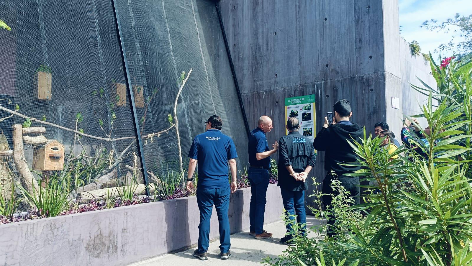 $!Verifica AZCARM los avances del Gran Acuario Mazatlán y conoce el pingüino nacido en el recinto