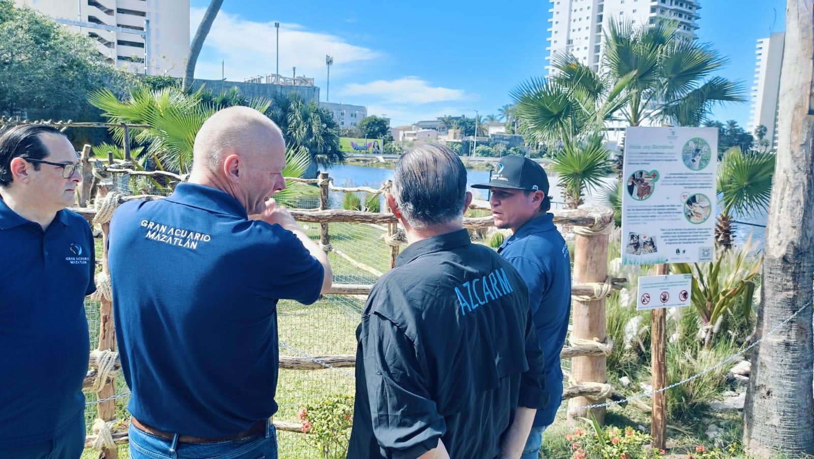 $!Verifica AZCARM los avances del Gran Acuario Mazatlán y conoce el pingüino nacido en el recinto