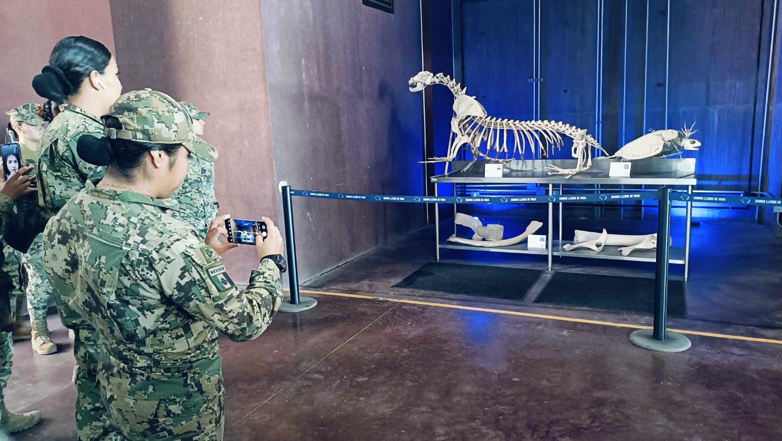 $!Mujeres de las Fuerzas Armadas conmemoran el Día de la Mujer en un recorrido por el Gran Acuario Mazatlán