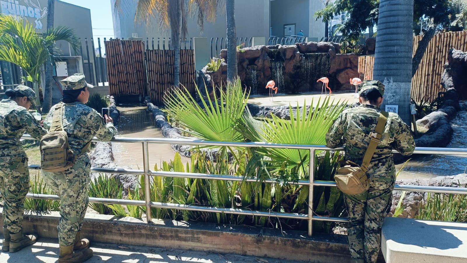 $!Mujeres de las Fuerzas Armadas conmemoran el Día de la Mujer en un recorrido por el Gran Acuario Mazatlán