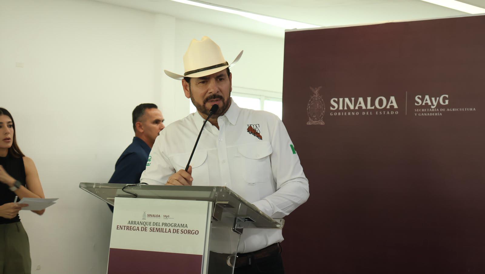 $!Gobierno de Sinaloa inicia entrega de semilla de sorgo, con inversión de $12.5 millones