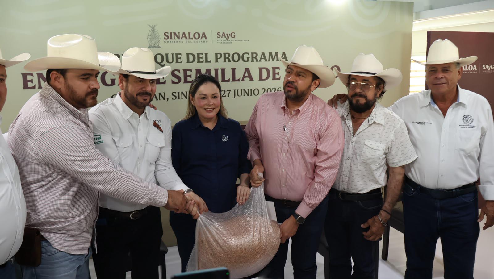 $!Gobierno de Sinaloa inicia entrega de semilla de sorgo, con inversión de $12.5 millones