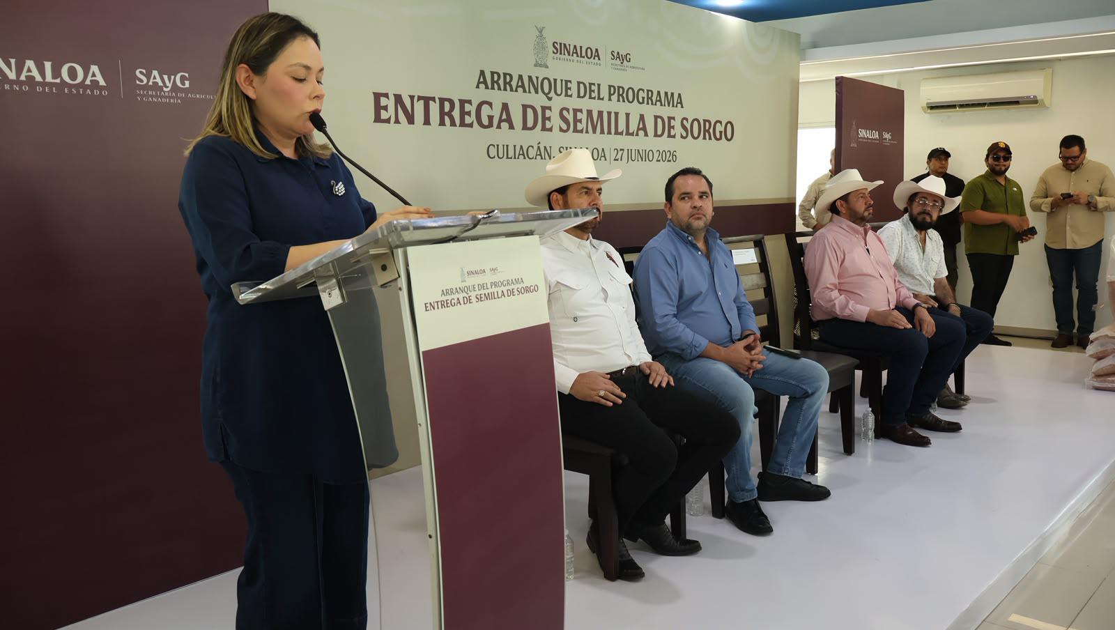 $!Gobierno de Sinaloa inicia entrega de semilla de sorgo, con inversión de $12.5 millones
