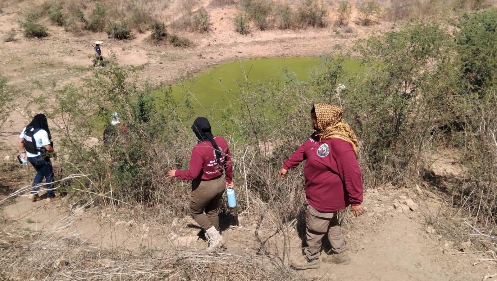 $!Caminar la tierra en silencio: Una jornada de prospección en El Verde