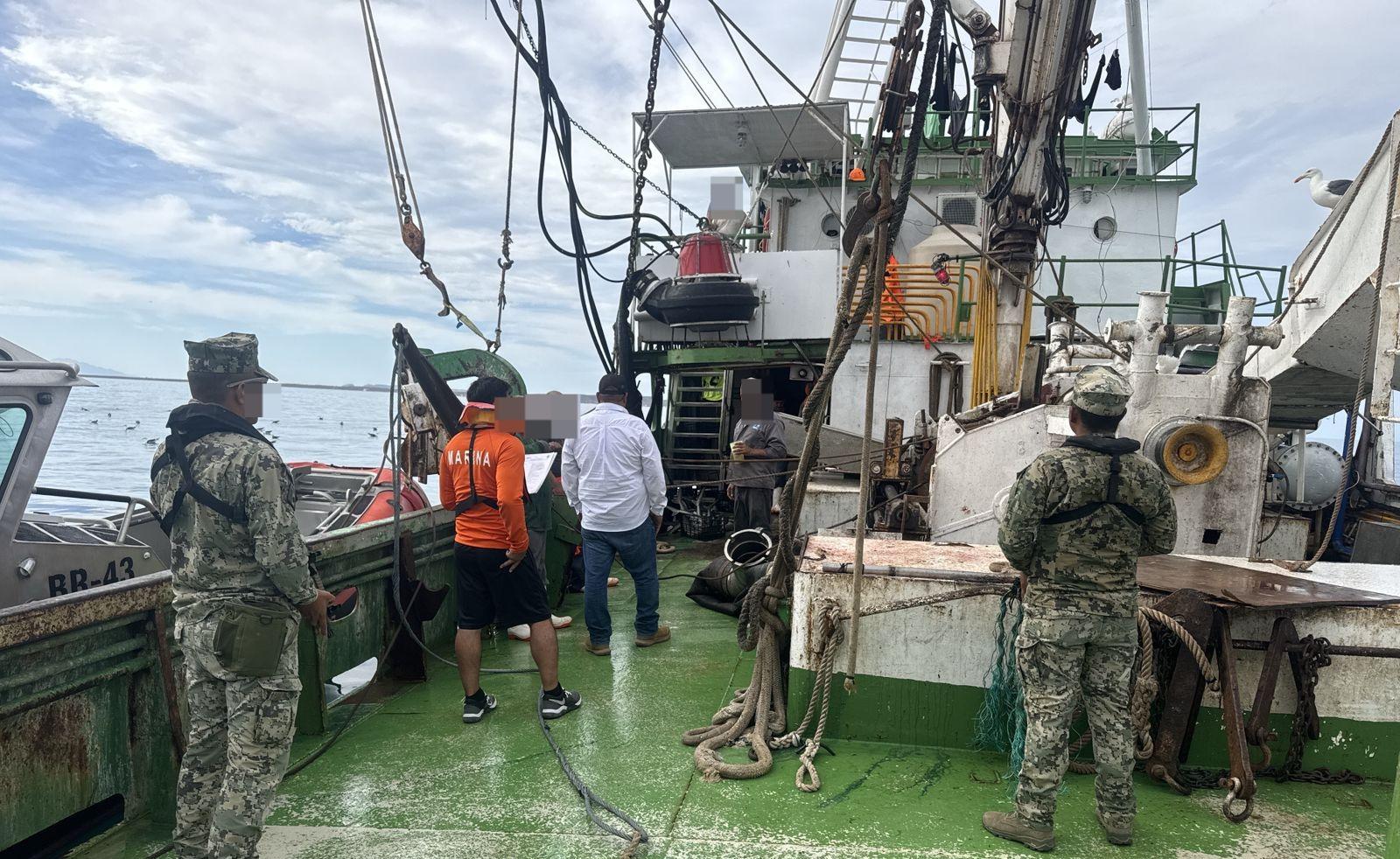 $!Asegura Marina en un buque 62 ejemplares de tiburón y 4 de mantarraya en veda