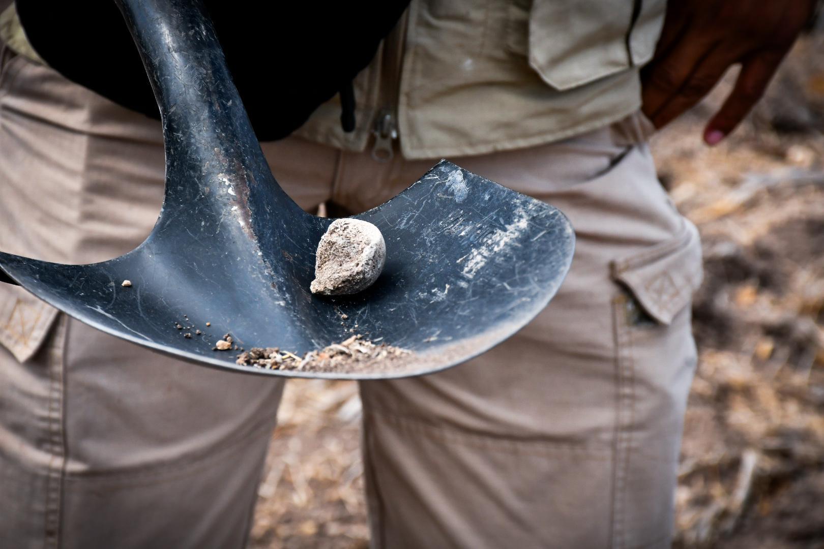 $!¿A qué huele la muerte? En la búsqueda de cuerpos de personas desaparecidas el olfato es una herramienta