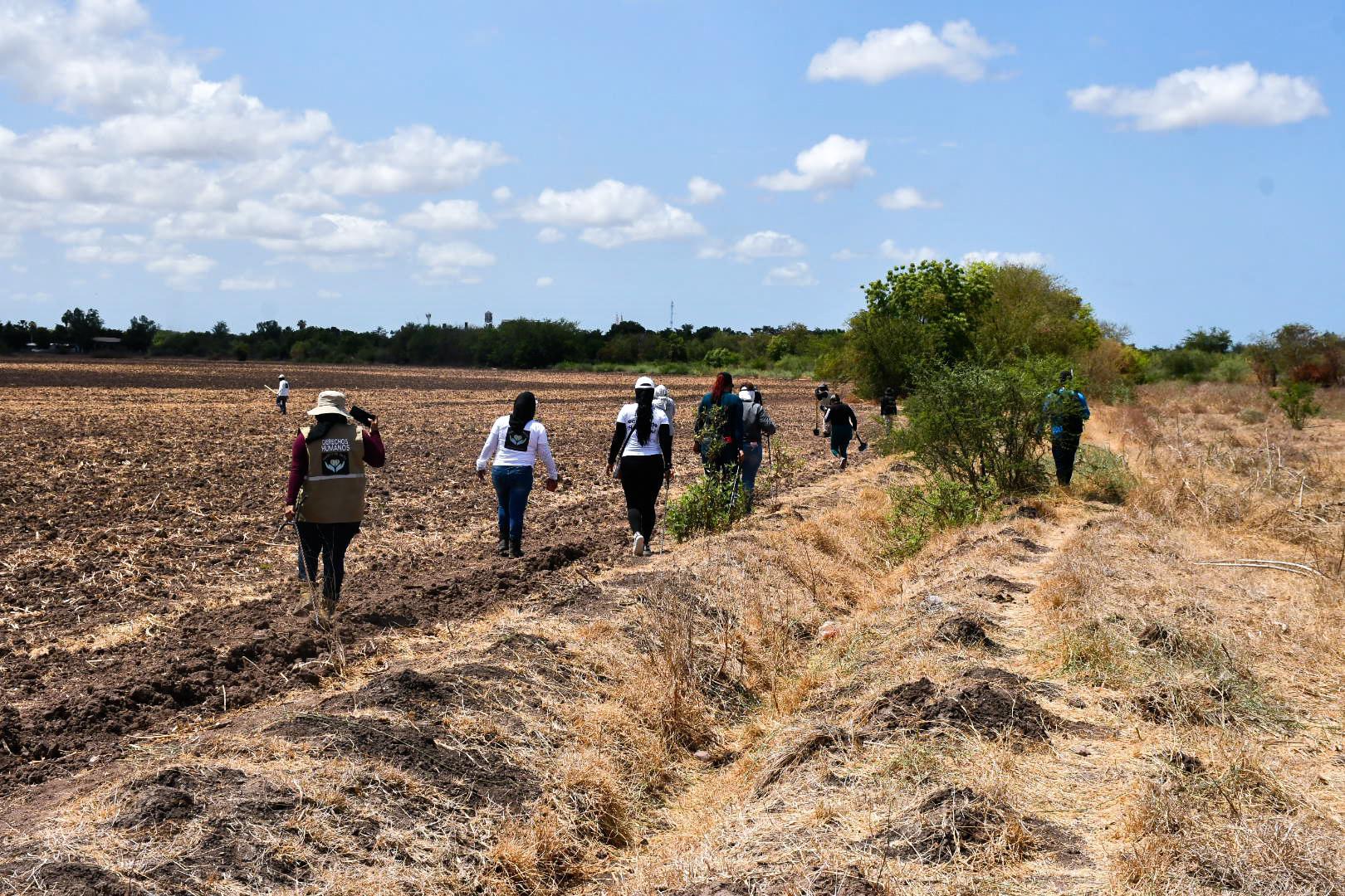 $!¿A qué huele la muerte? En la búsqueda de cuerpos de personas desaparecidas el olfato es una herramienta