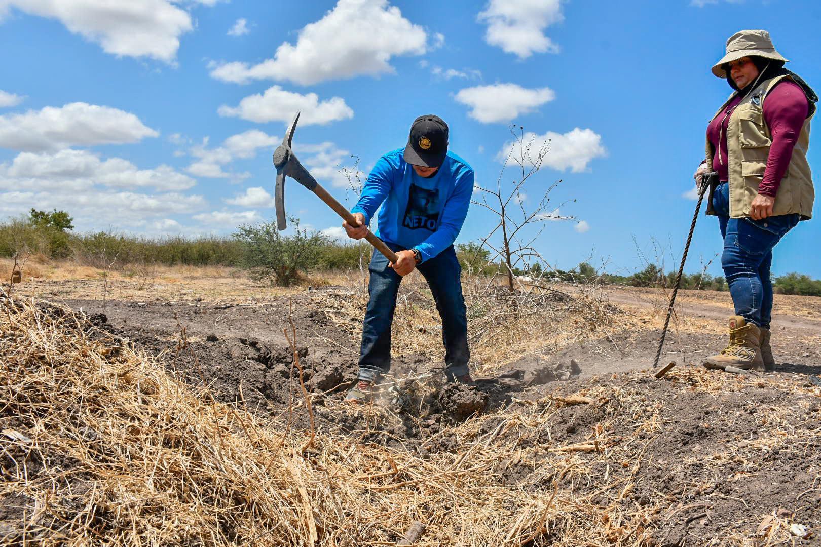 $!¿A qué huele la muerte? En la búsqueda de cuerpos de personas desaparecidas el olfato es una herramienta