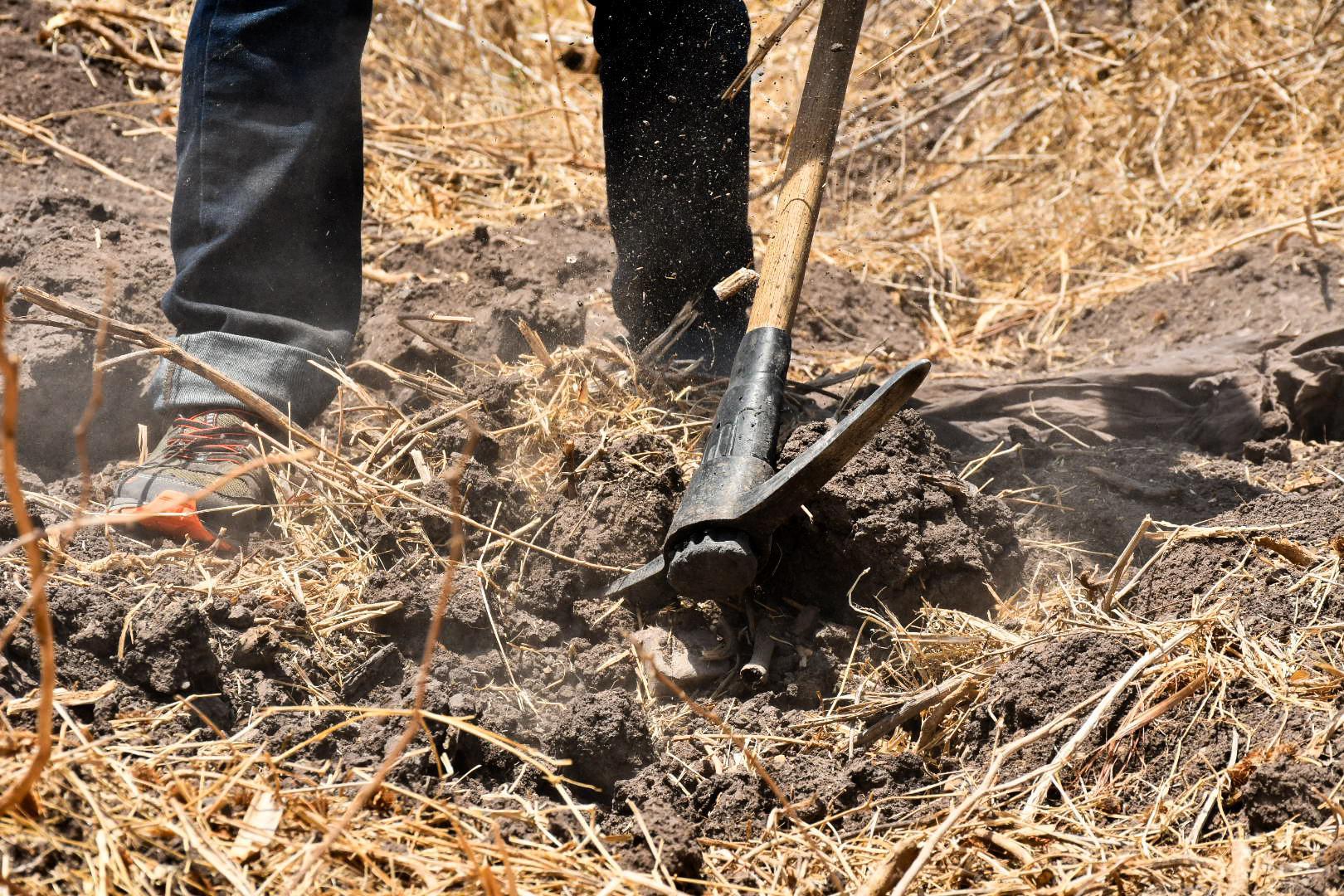 $!¿A qué huele la muerte? En la búsqueda de cuerpos de personas desaparecidas el olfato es una herramienta