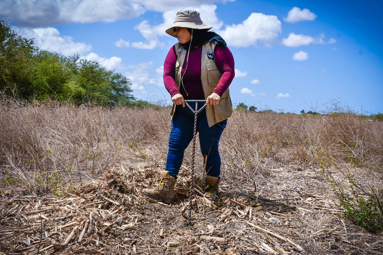 $!¿A qué huele la muerte? En la búsqueda de cuerpos de personas desaparecidas el olfato es una herramienta
