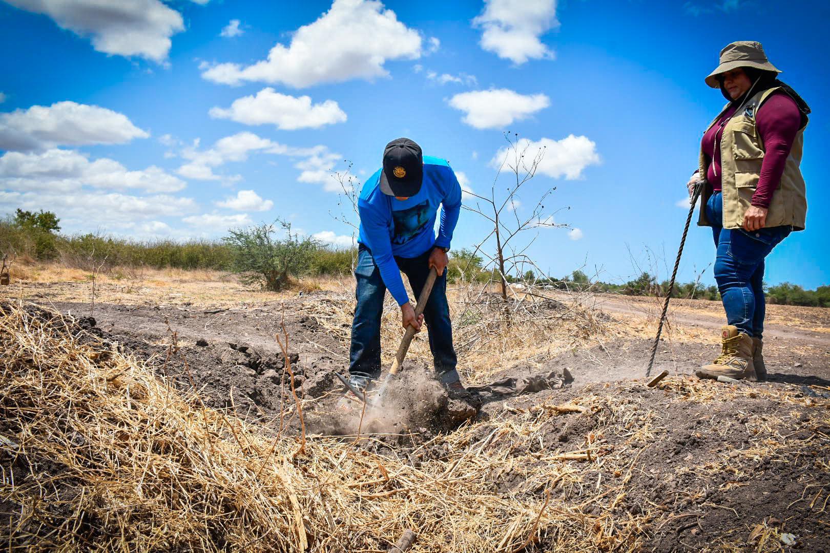 $!¿A qué huele la muerte? En la búsqueda de cuerpos de personas desaparecidas el olfato es una herramienta