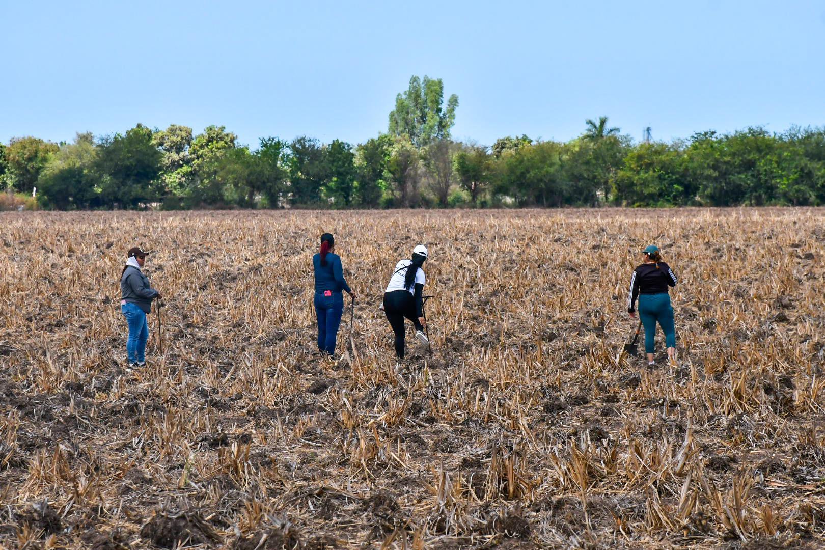 $!¿A qué huele la muerte? En la búsqueda de cuerpos de personas desaparecidas el olfato es una herramienta