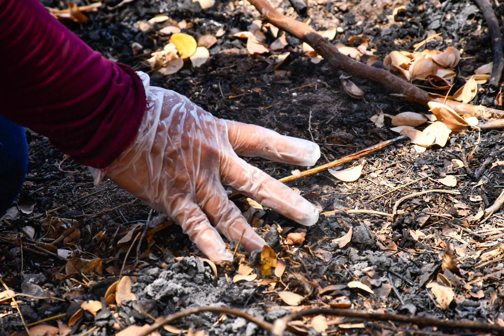 $!¿A qué huele la muerte? En la búsqueda de cuerpos de personas desaparecidas el olfato es una herramienta