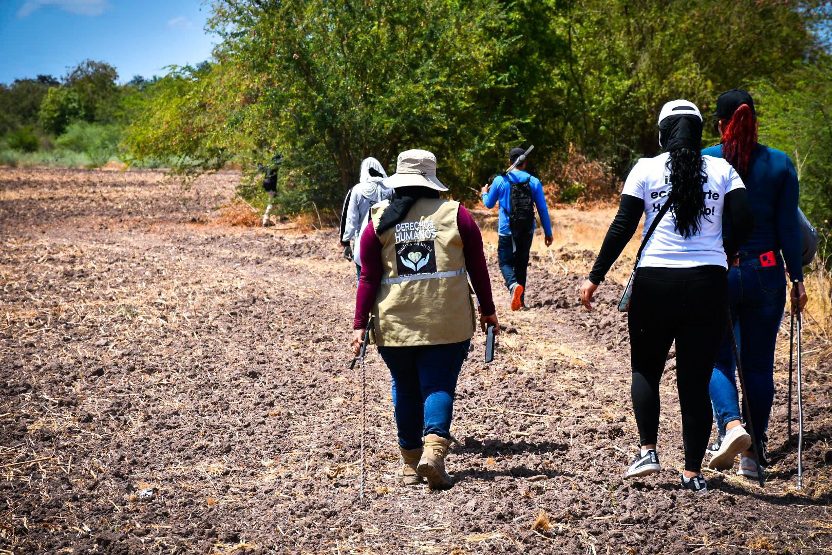 $!¿A qué huele la muerte? En la búsqueda de cuerpos de personas desaparecidas el olfato es una herramienta