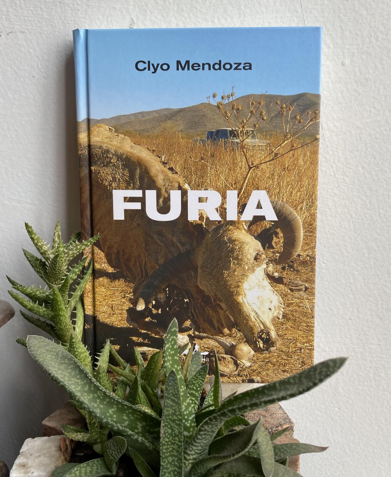 $!Encuentra Clyo Mendoza en la desgracia la reivindicación del amor, con su libro ‘Furia’