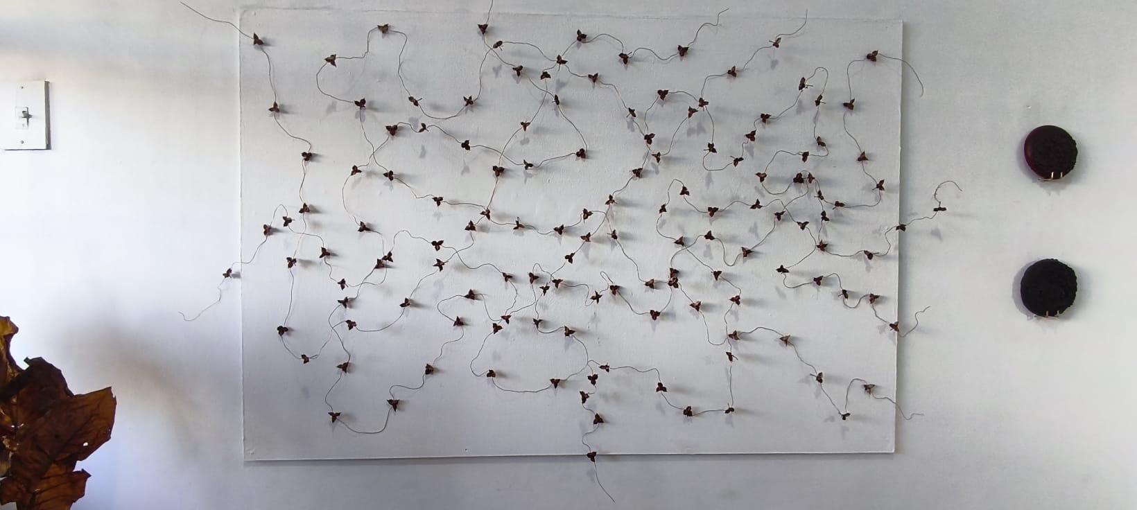 $!Mural de semillas que parecen mariposas.