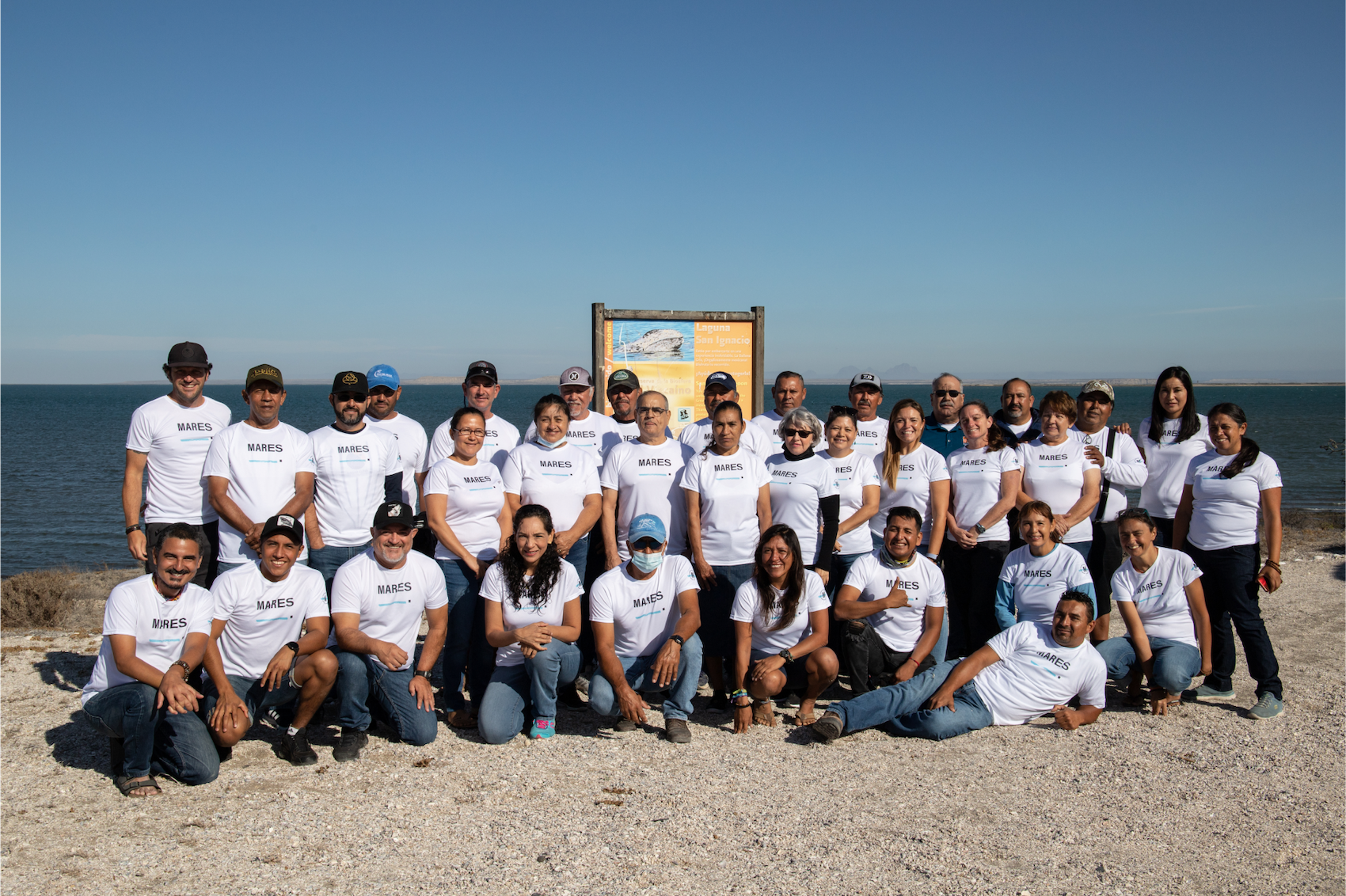 $!Conoce la tres iniciativas para mitigar la captura incidental de la tortuga marina