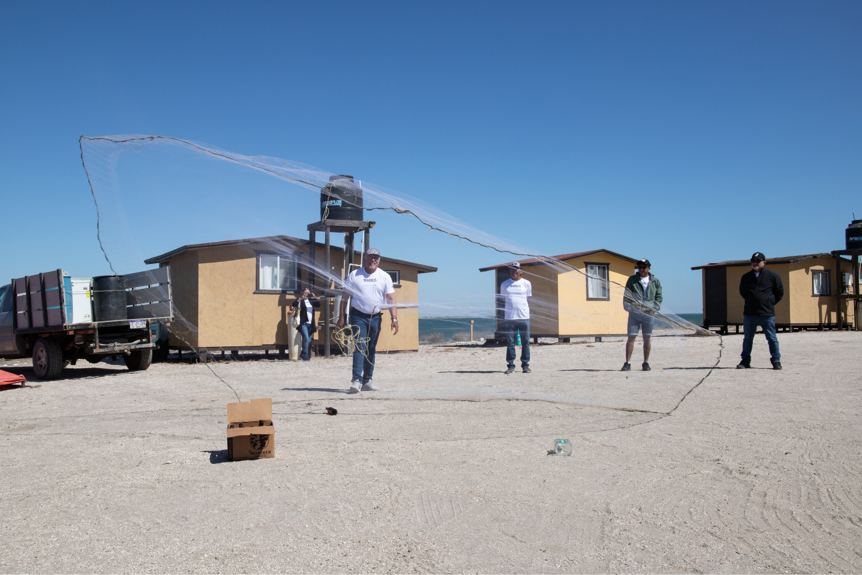 $!Conoce la tres iniciativas para mitigar la captura incidental de la tortuga marina