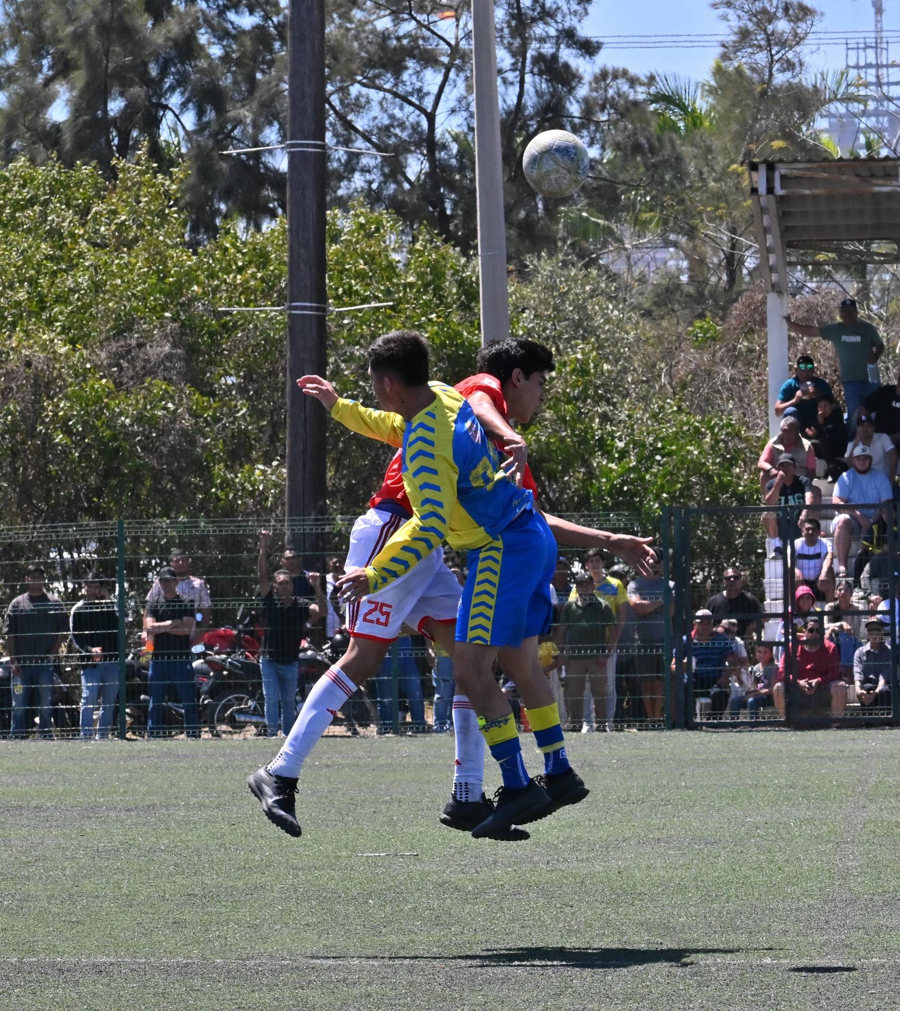 $!Se ciñe Familia Fajardo la corona de la Primera Fuerza con angustia extra