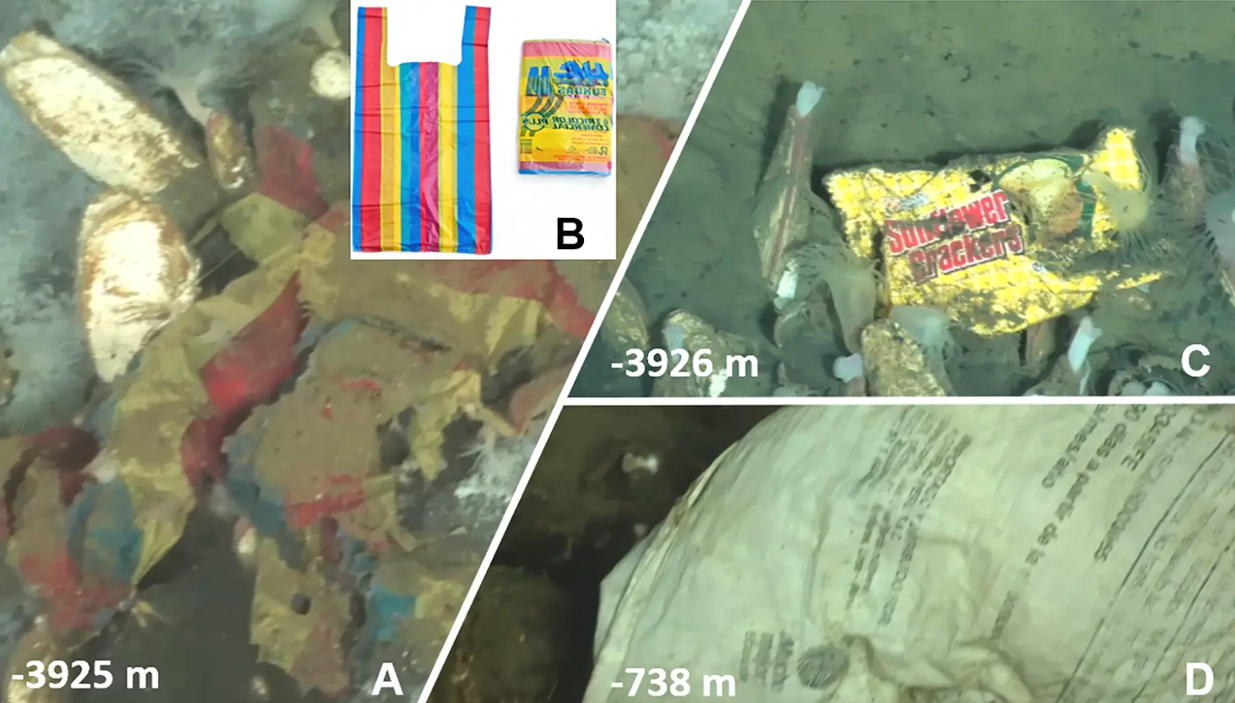 $!La bolsa multicolor observada en la fosa oceánica es una bolsa comercial típica utilizada en Ecuador y Perú (A y B). Algunos residuos plásticos presentaban inscripciones que permiten conocer su origen (C y D).
