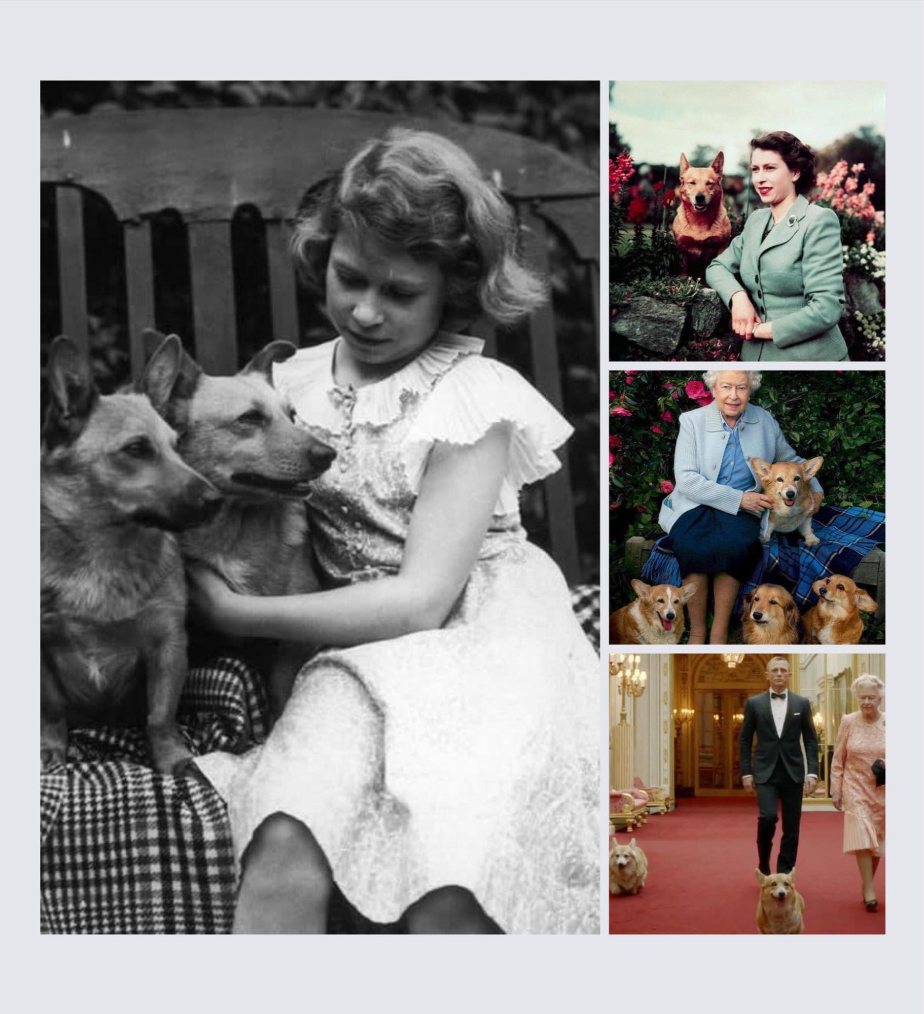 $!Reina Isabel II: vida e historia de la Monarca del Reino Unido